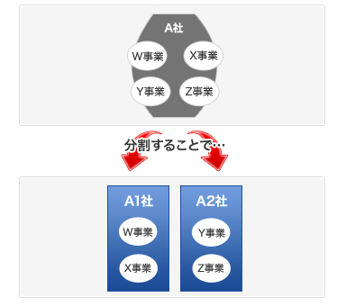 分割などの手法を使って、会社を細分化させる